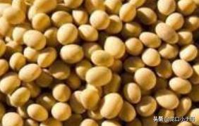 农村土法做黄豆酱需要晒干,河南中牟土法自制黄豆酱的全过程