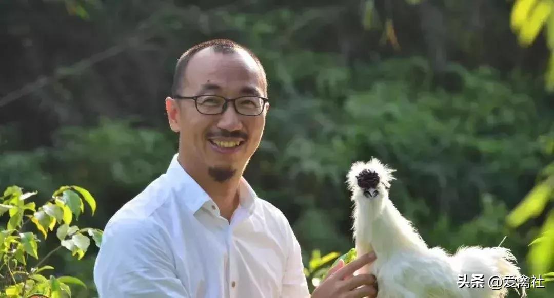 养鸡好挣钱吗,养鸡前景如何