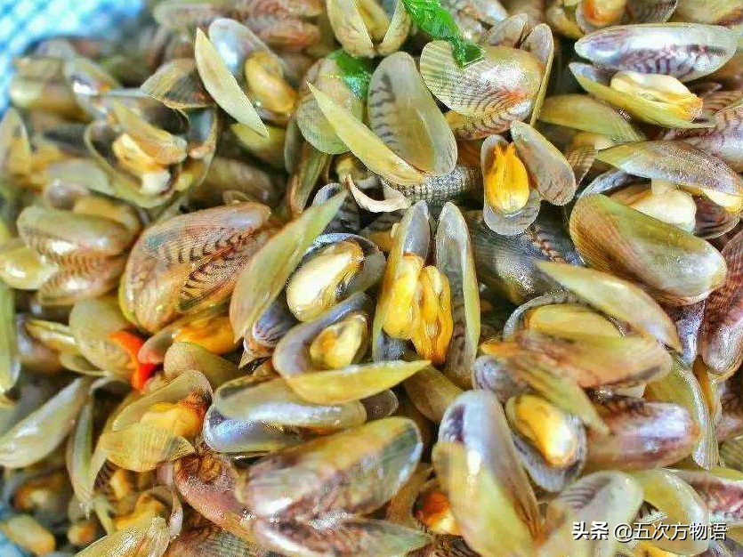 涓夌娴烽矞鍙粈涔堝悕,鎹炴眮灏忔捣椴滄捣鐡滃瓙