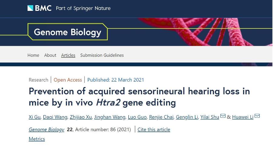 复旦大学眼耳鼻喉医院治疗突聋,上海复旦耳鼻喉科突聋治疗指南