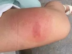 【吓人】太多多多……了！最近很多人被吓得不敢开灯，只因它又来袭