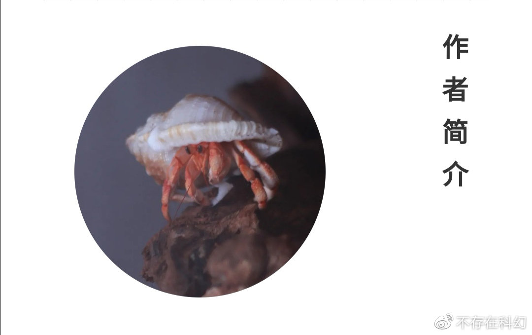 一块石头深度解析,科幻小说宇宙探索边界