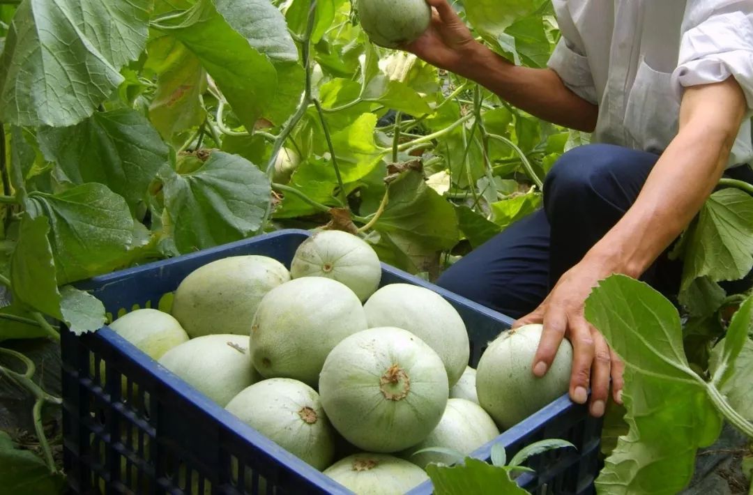 你心中的大山是什么,你心中的十堰是什么样的