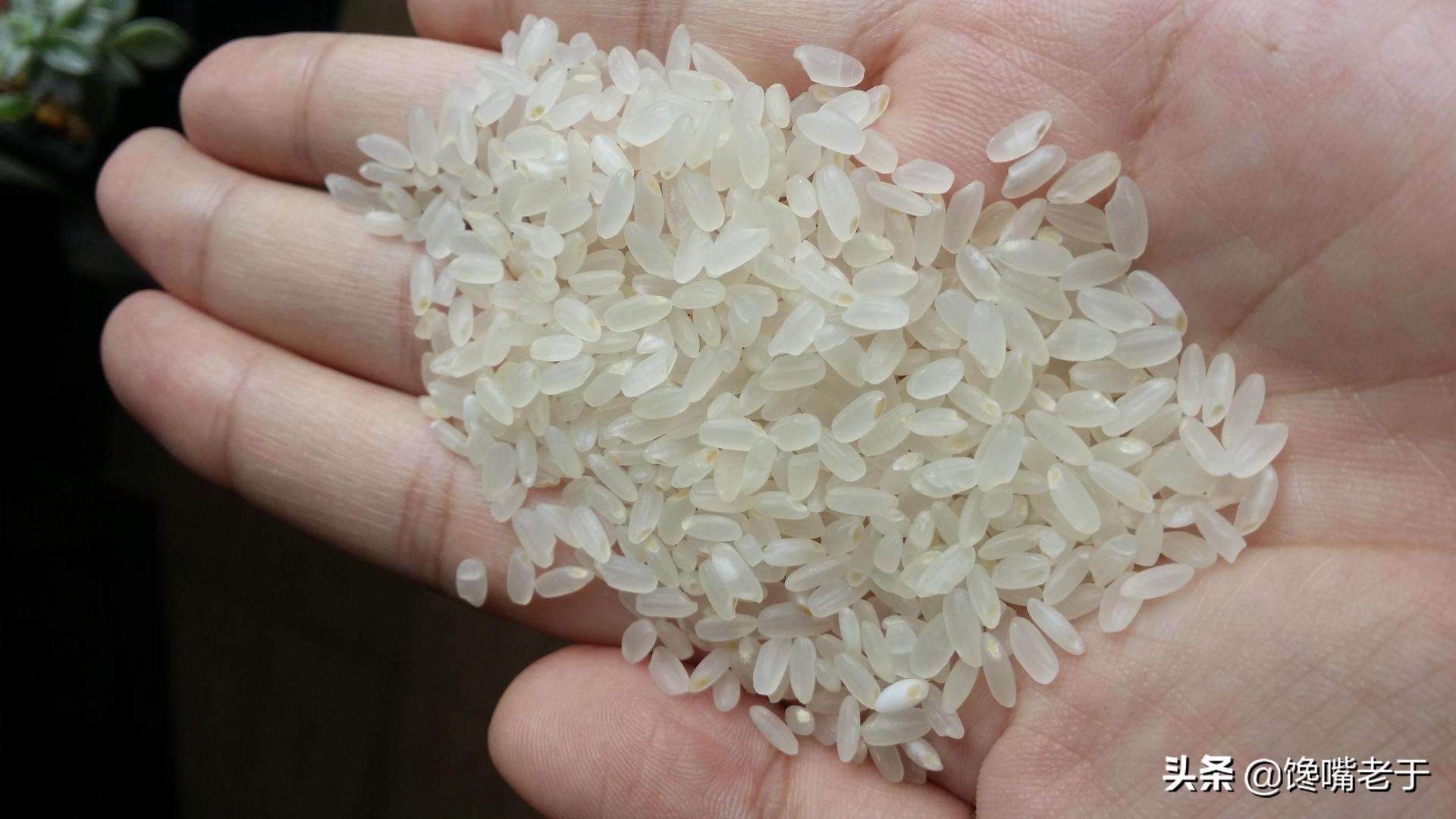 大米库房怎么放不生虫,为什么超市大米敞开放也不坏