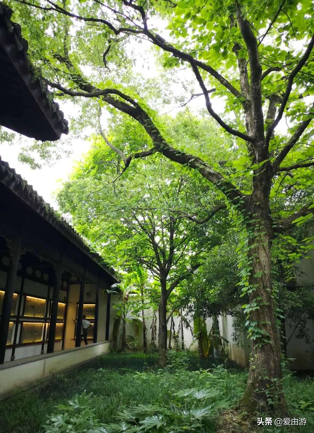 疫情后旅行新玩法,“州”游之衢州四天三夜