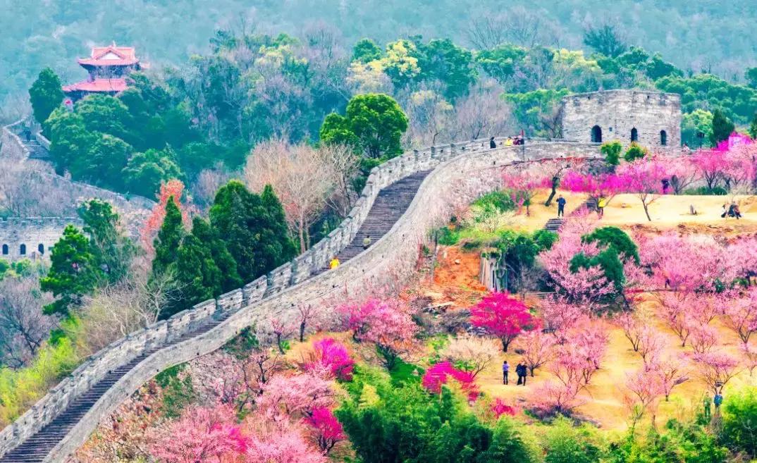 香雪海什么时候开放,香雪海惊艳了多少人