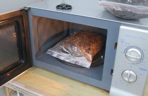 养花就怕土壤带菌!该怎么解决隐患?学会这3招,方便又实用