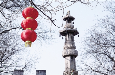 5000年历史看山西洪洞大槐树,明朝山西洪洞大槐树血泪史