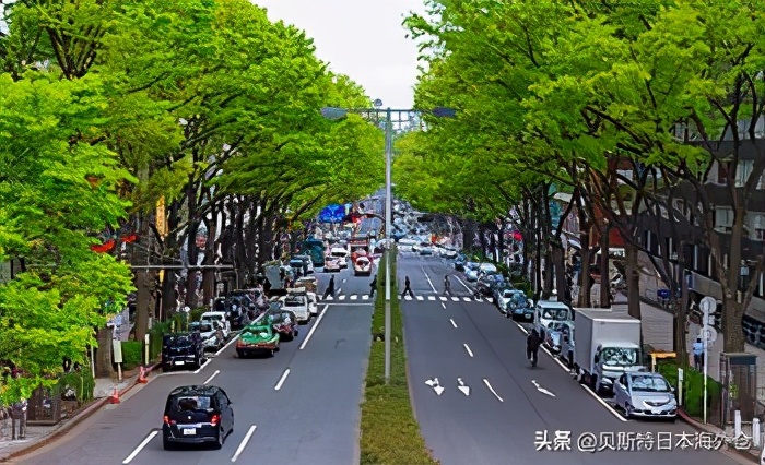 日本东京最适合居住的城市排名 (日本东京哪里更宜居)