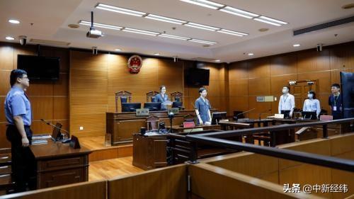 旌逸集团非法集资,旌逸集团吸金百亿被查