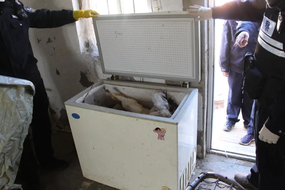 打击野生动物资源违法吗,野生动物资源犯罪专项行动