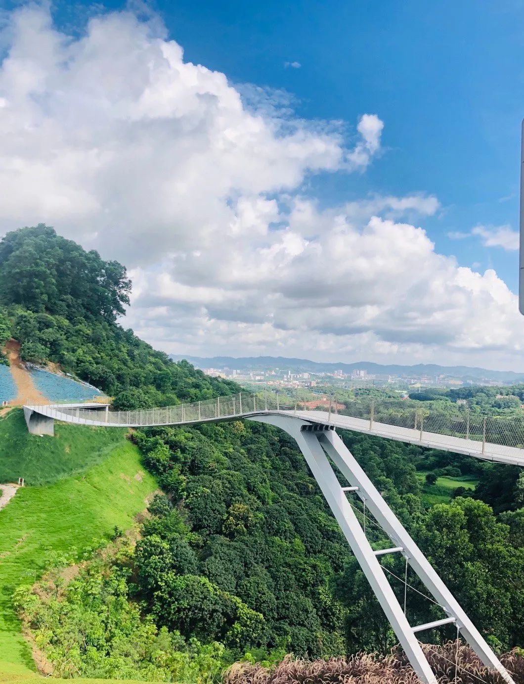 深圳天空之镜网红玻璃桥,深圳玻璃桥免费旅游攻略