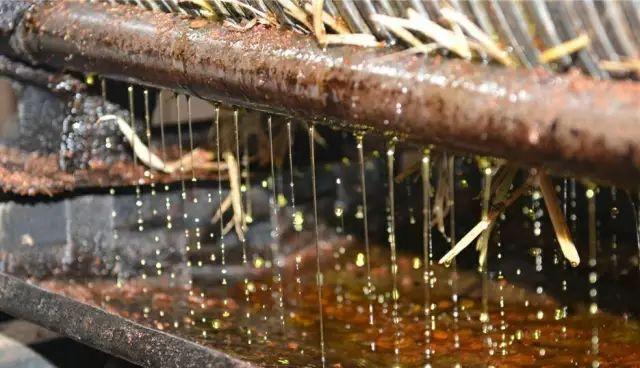 乡村纯山茶油哪里有卖,寻找山茶油销售渠道