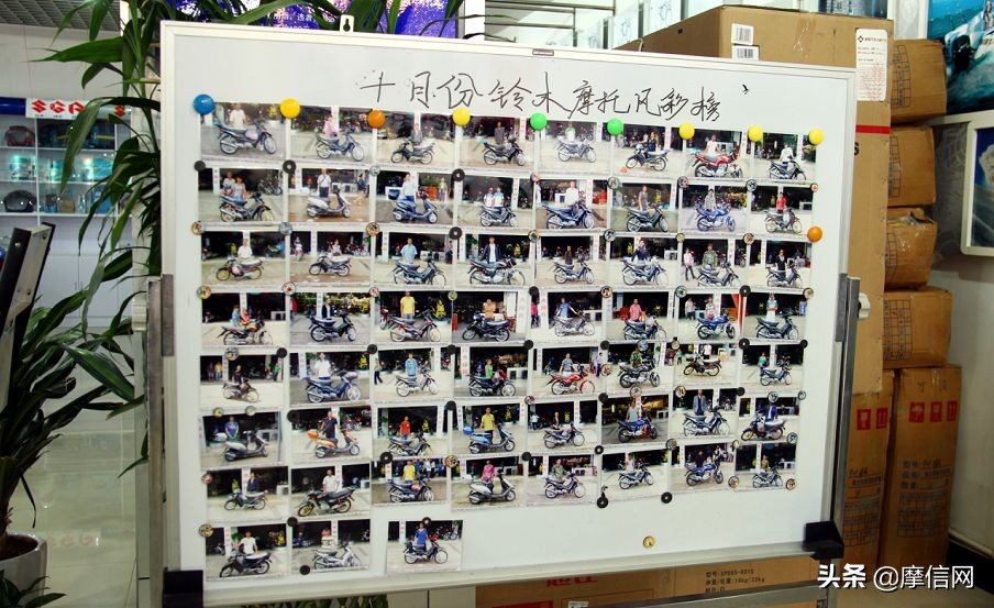 今日济南铃木官网,济南铃木新动态