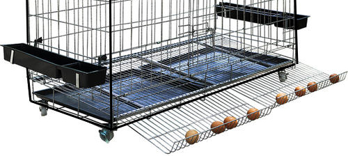 一个世界上还没有人想过的主意——超级塑料瓶船