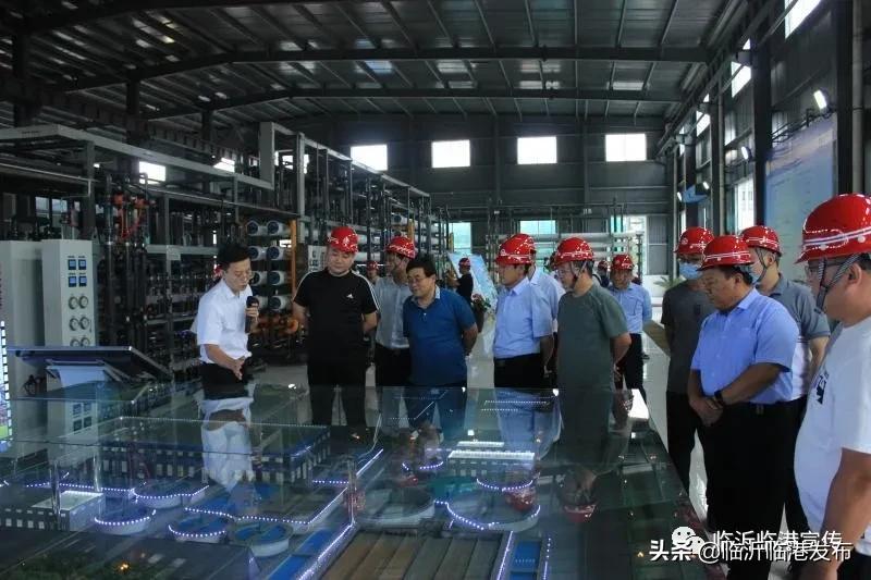 工业企业竟变身“3A景区”，咱临港也要这么干！