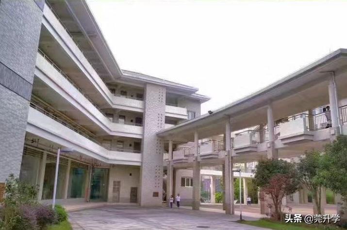 东莞南城初中,东莞南城公办初中摇号在哪进行