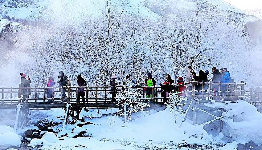 今年农村过年猪为什么要求提前杀,南方杀年猪和北方杀年猪的区别
