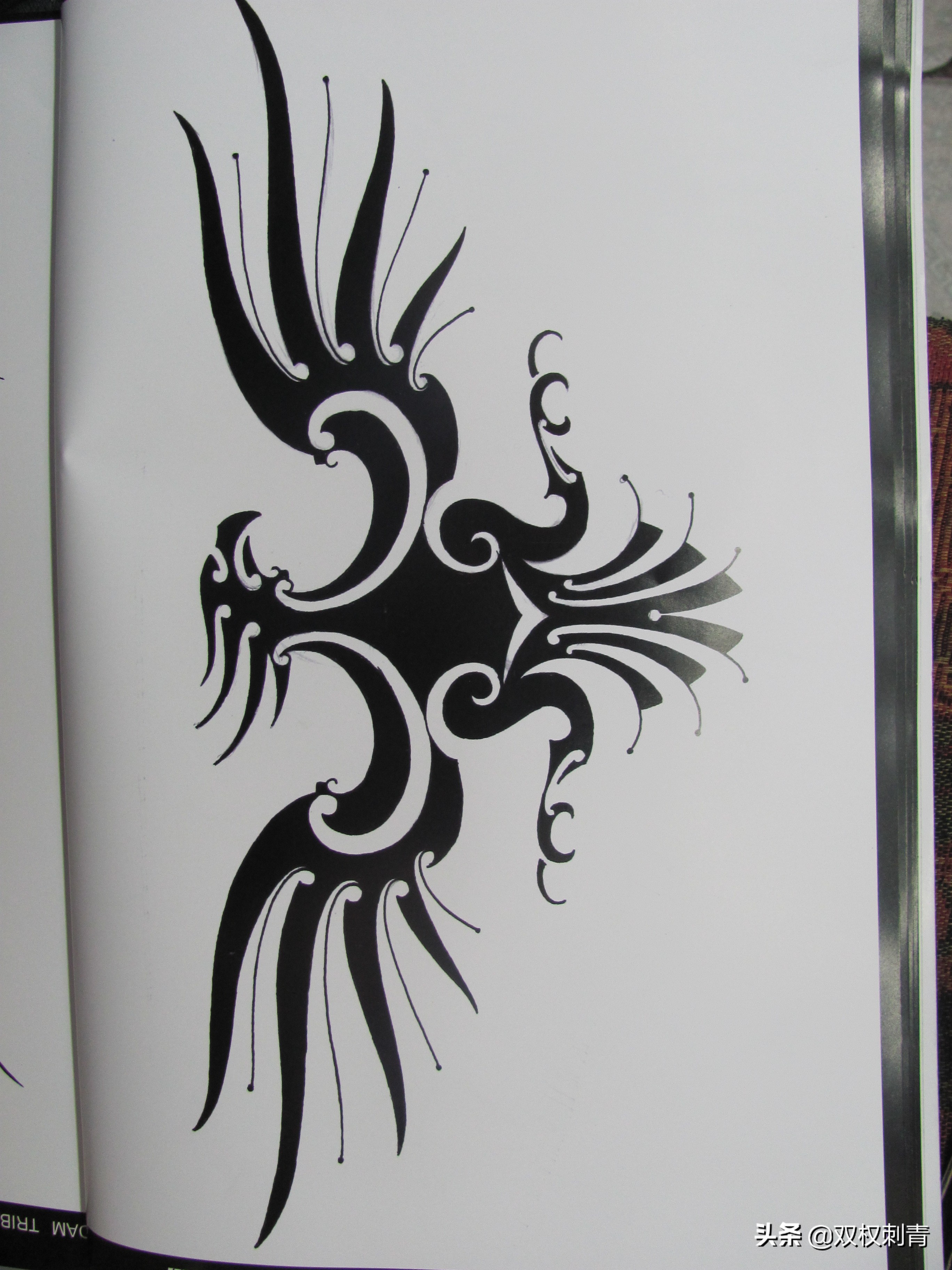 凤凰图腾图,张氏图腾图