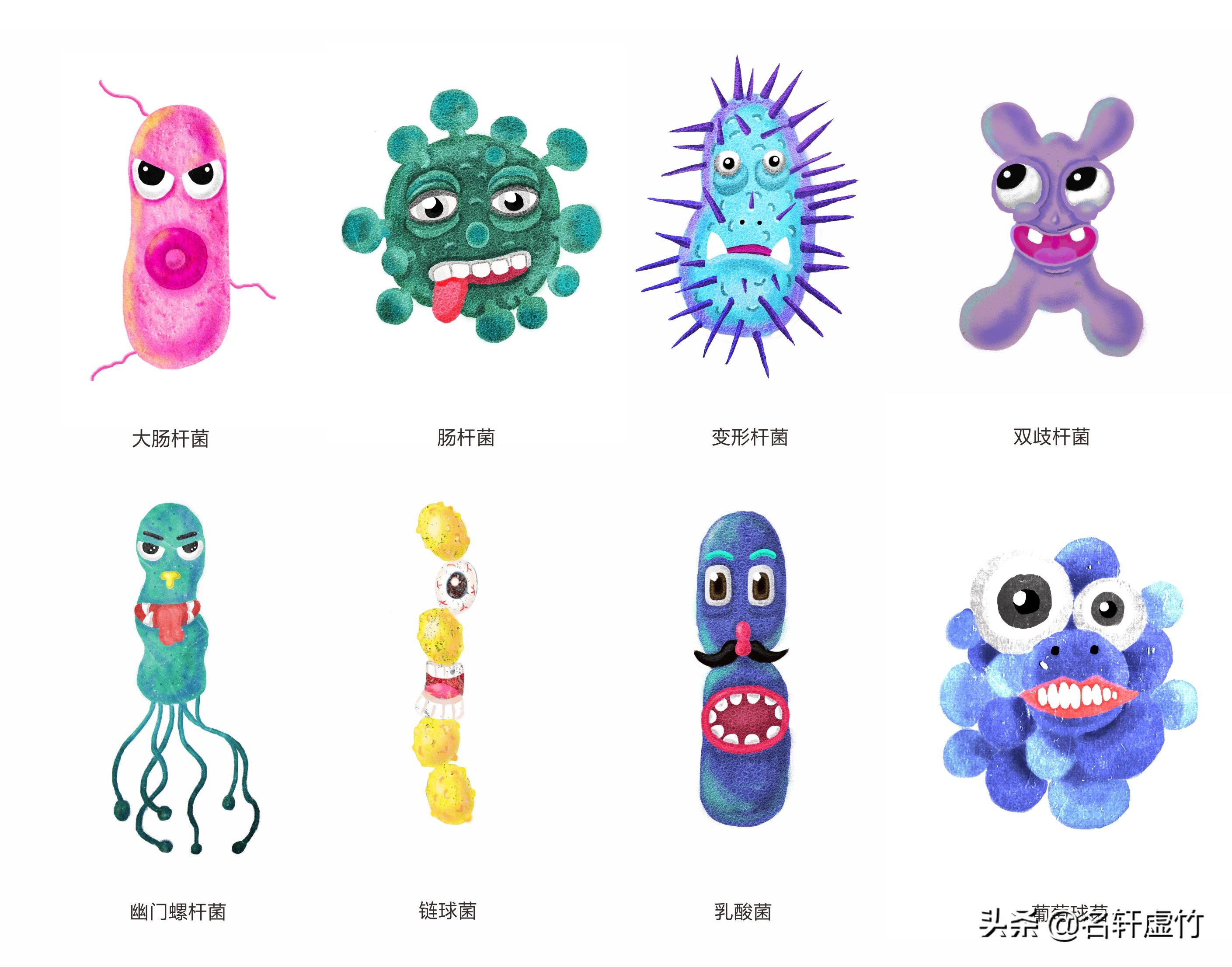 厨卫清洁生活小妙招,厨卫清洁一次搞定