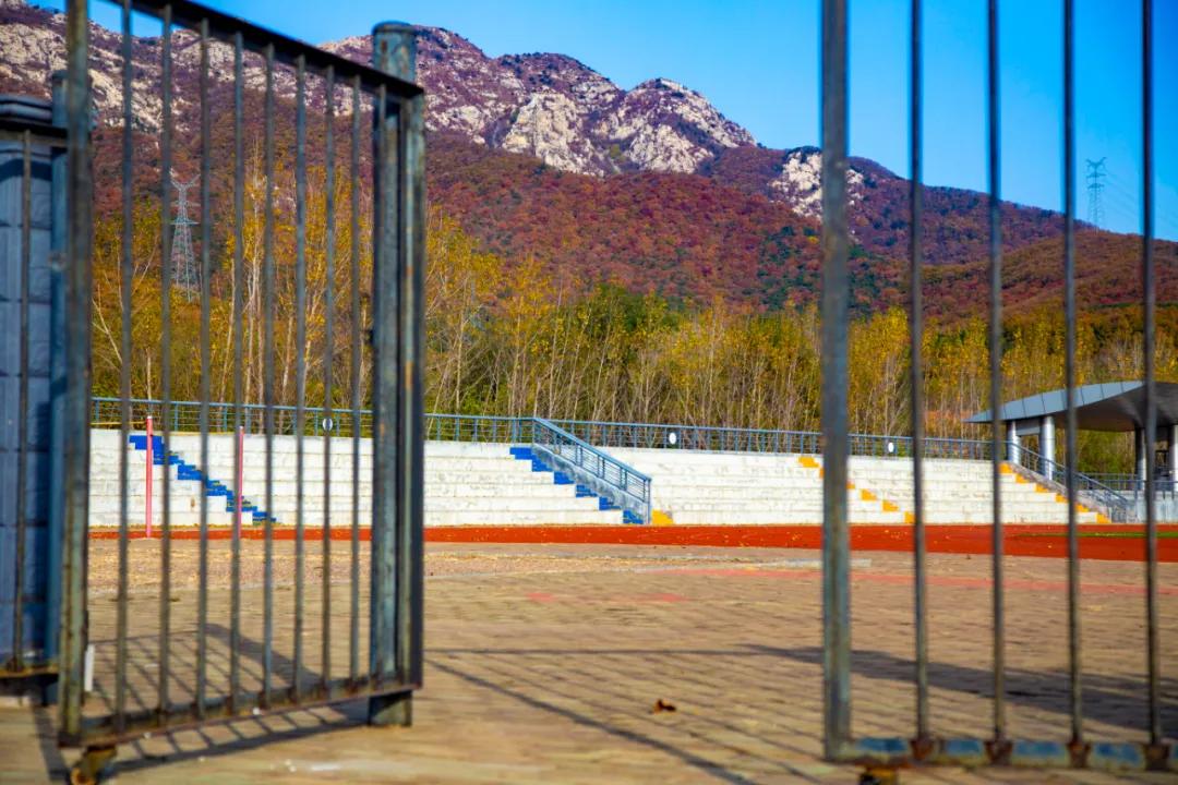 醉美大工秋|读书不觉已秋深，____________