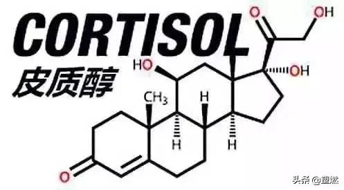 皮质醇讲解,皮质醇高对人的危害