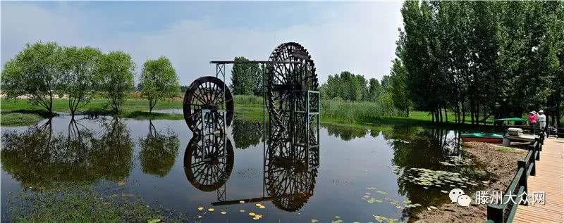 为什么要留在城市,为什么要留在家乡