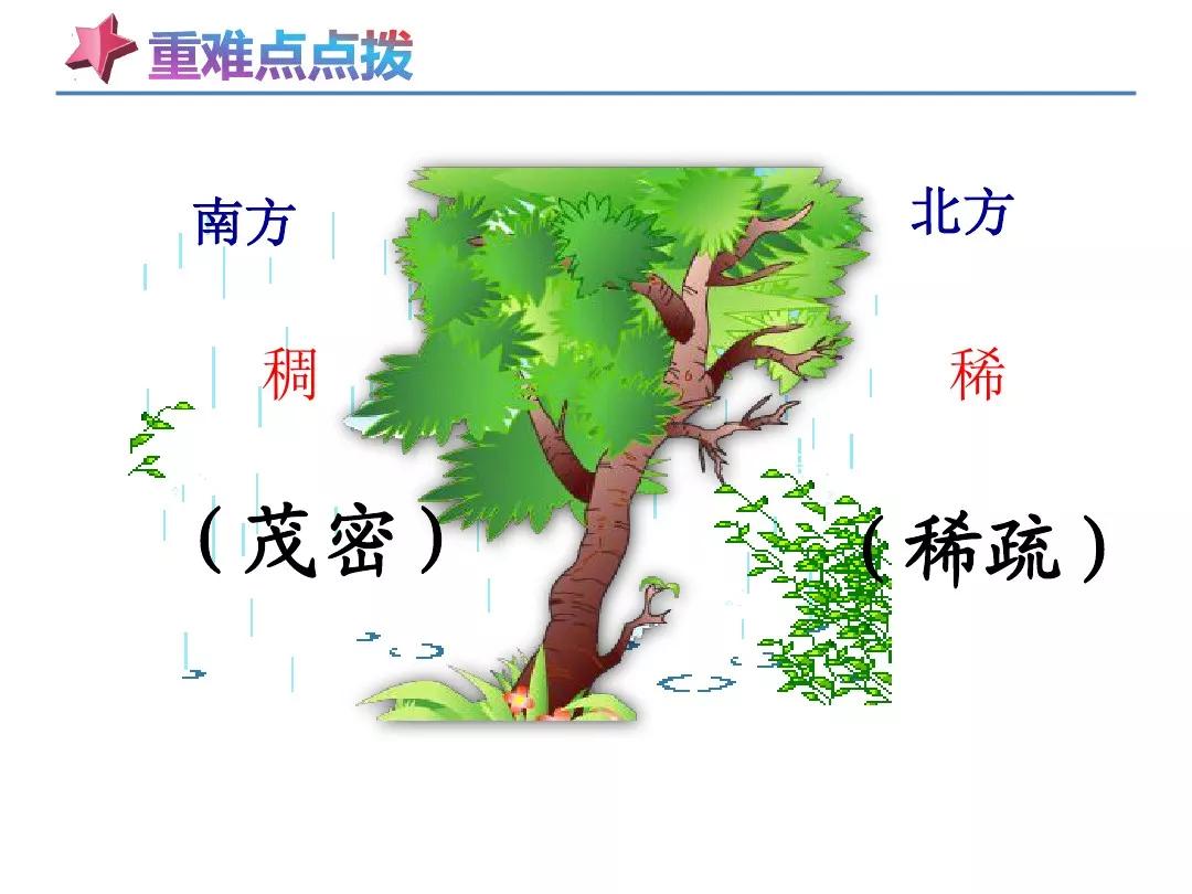 野外迷路怎么辨别方向二年级下册,二年级下册在野外迷了路课堂笔记