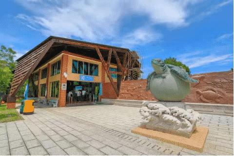 广东海岛打卡网红地,广东小众海岛打卡