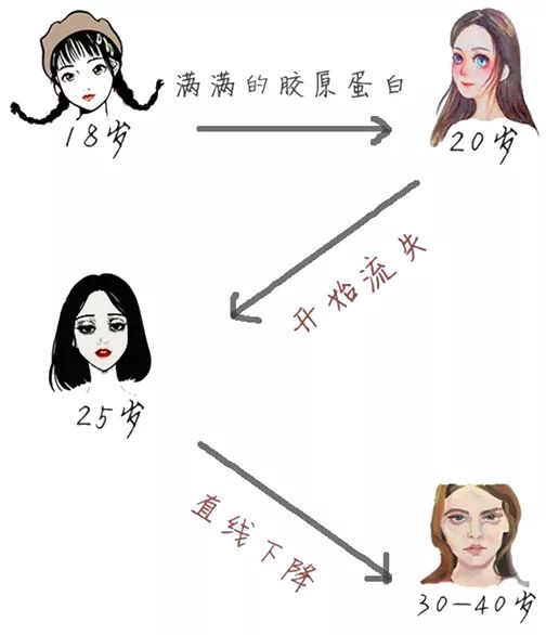 健品荟胶原蛋白肽，全新造势，再创新高