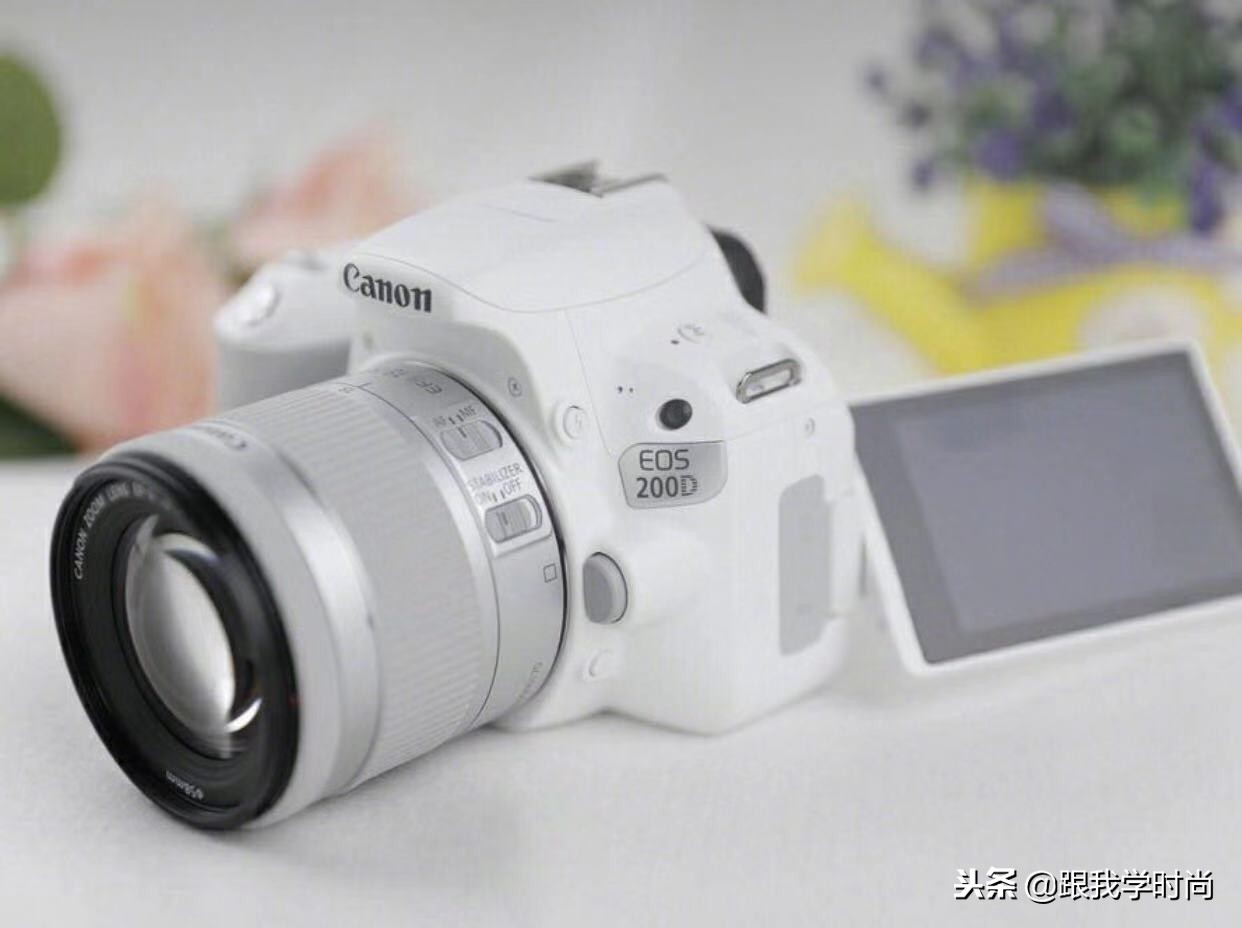 佳能单反相机入门级推荐,最值得入手的单反新手入门