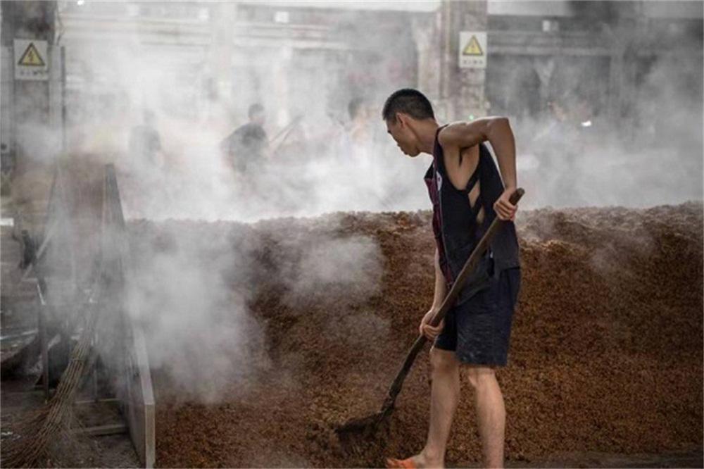 真全粮杨俊丽：酿酒要做好窖池发酵温度管控曲线