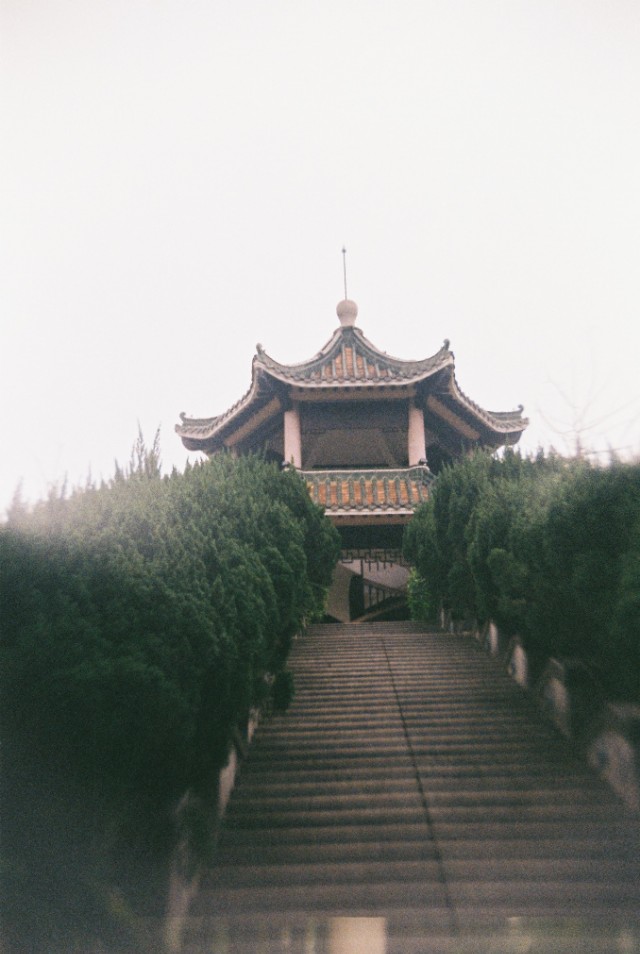 胶片相机拍照技巧,胶片相机拍照