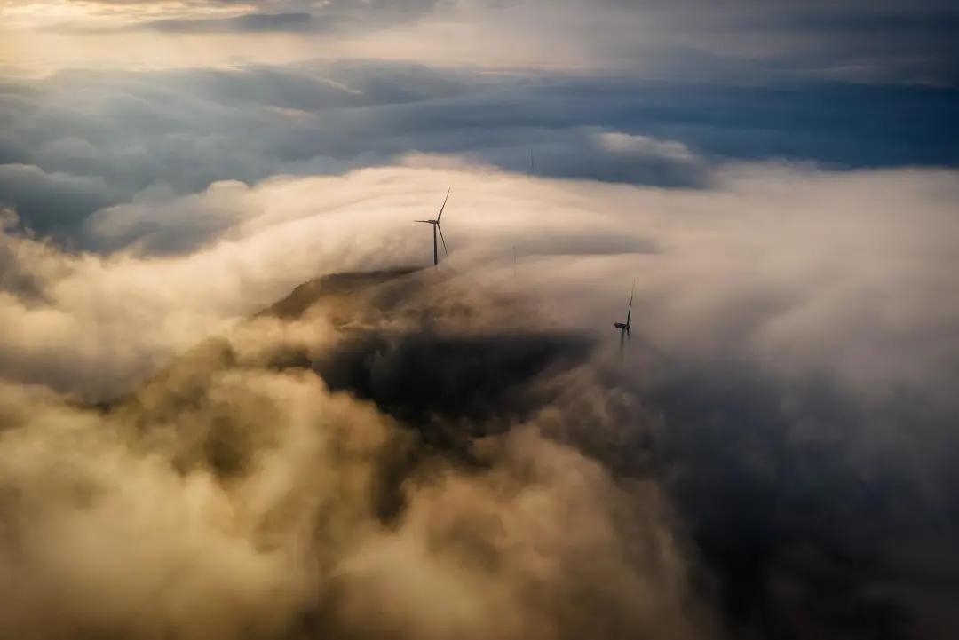 大山里的美女老板：不惧流言种田腌酱菜，一年卖出1000万