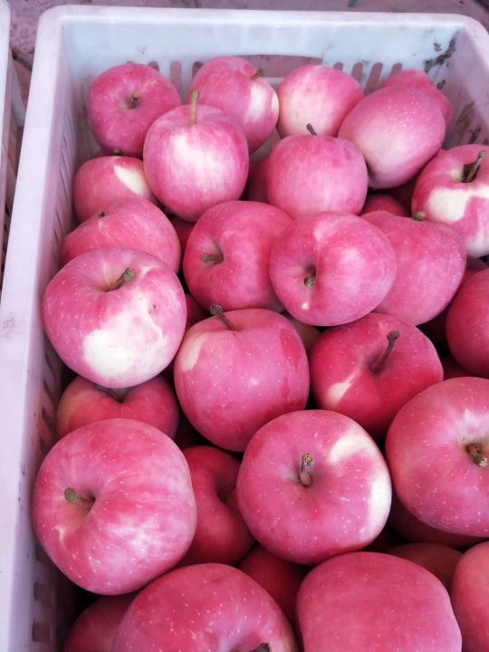 节后总结语,节后白话怎么讲