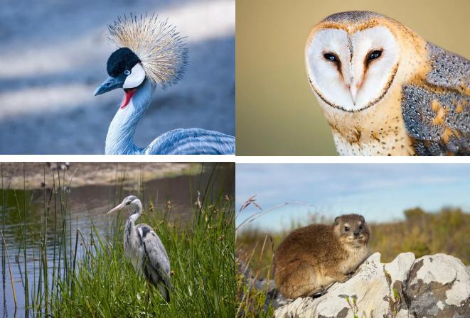 海外游学留学目的地有哪些,海外游学途径
