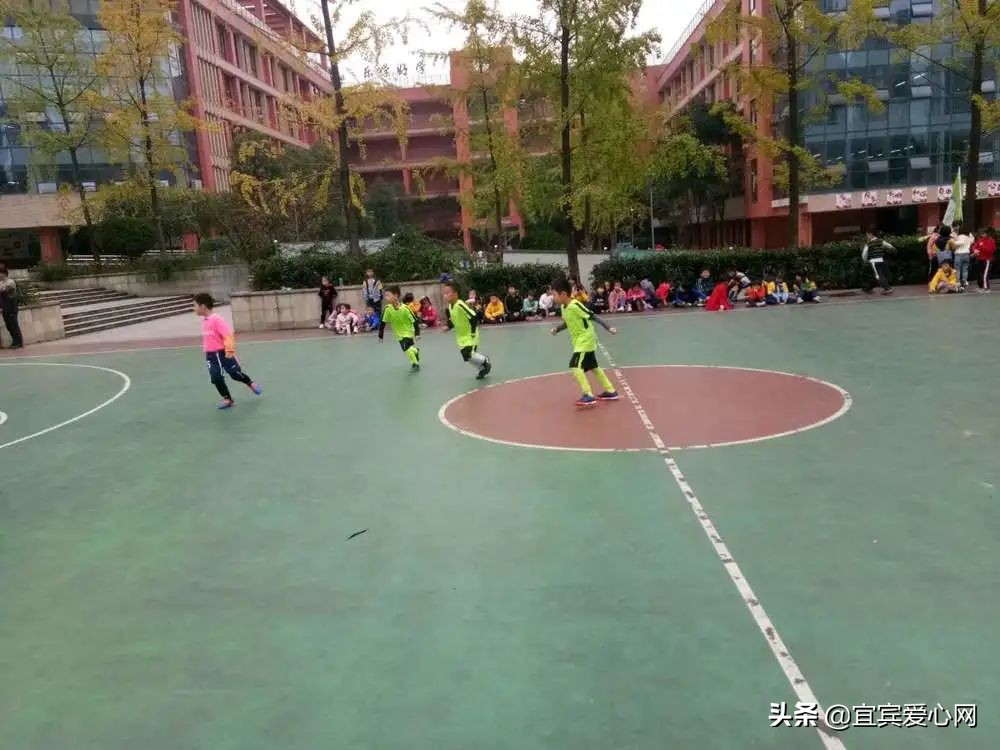 叙府实验小学2019级,叙府实验小学视频