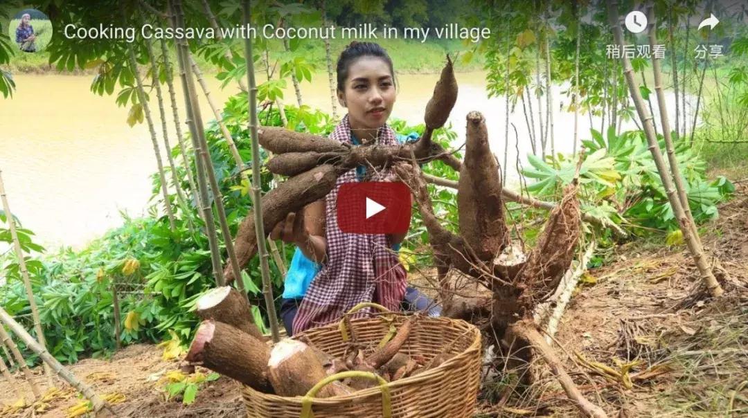 男版李子柒火了,李子柒做原始烤炉视频