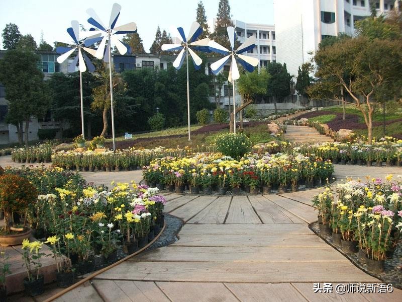 湖南岳阳重点高中排名,湖南岳阳四所特色学校