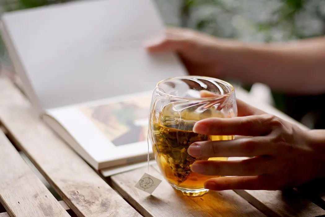 梅花香荷花,什么样的梅花香最好