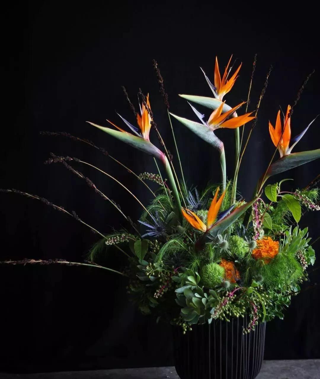 花要不要经常换水,花材正确处理方式及日常养护