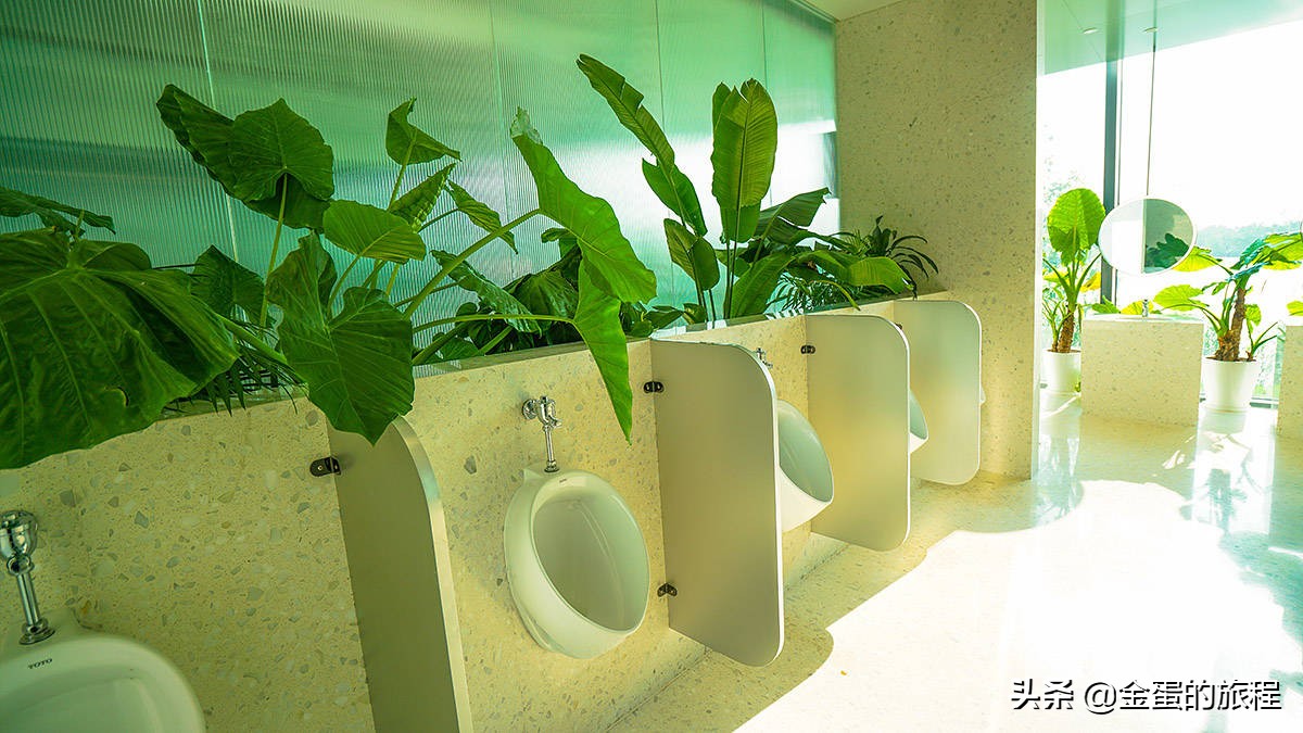 不出上海有哪些地方旅游,不出上海玩的景点排行榜