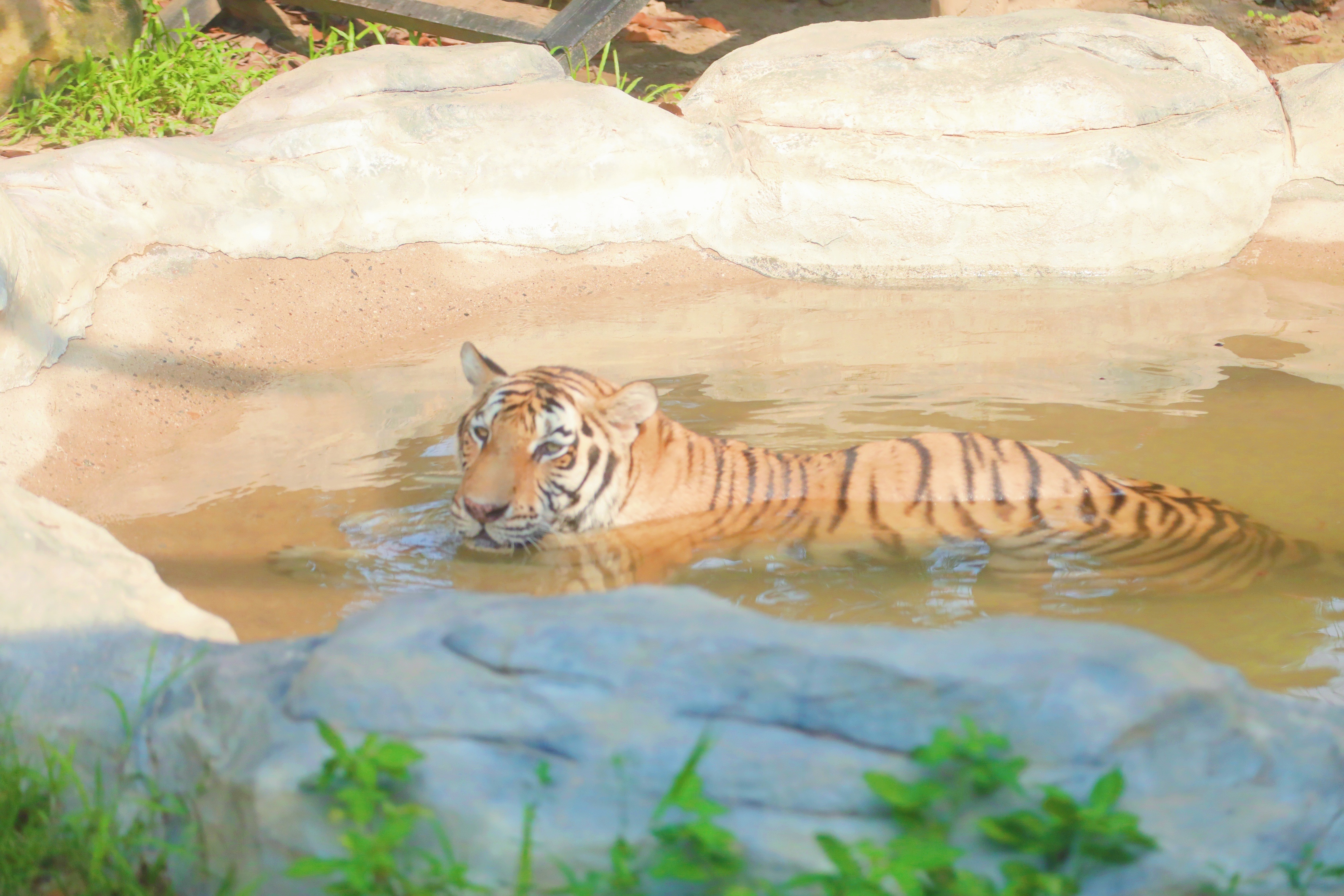景点打卡东莞隐贤山庄,暑假东莞亲子游玩好去处隐贤山庄