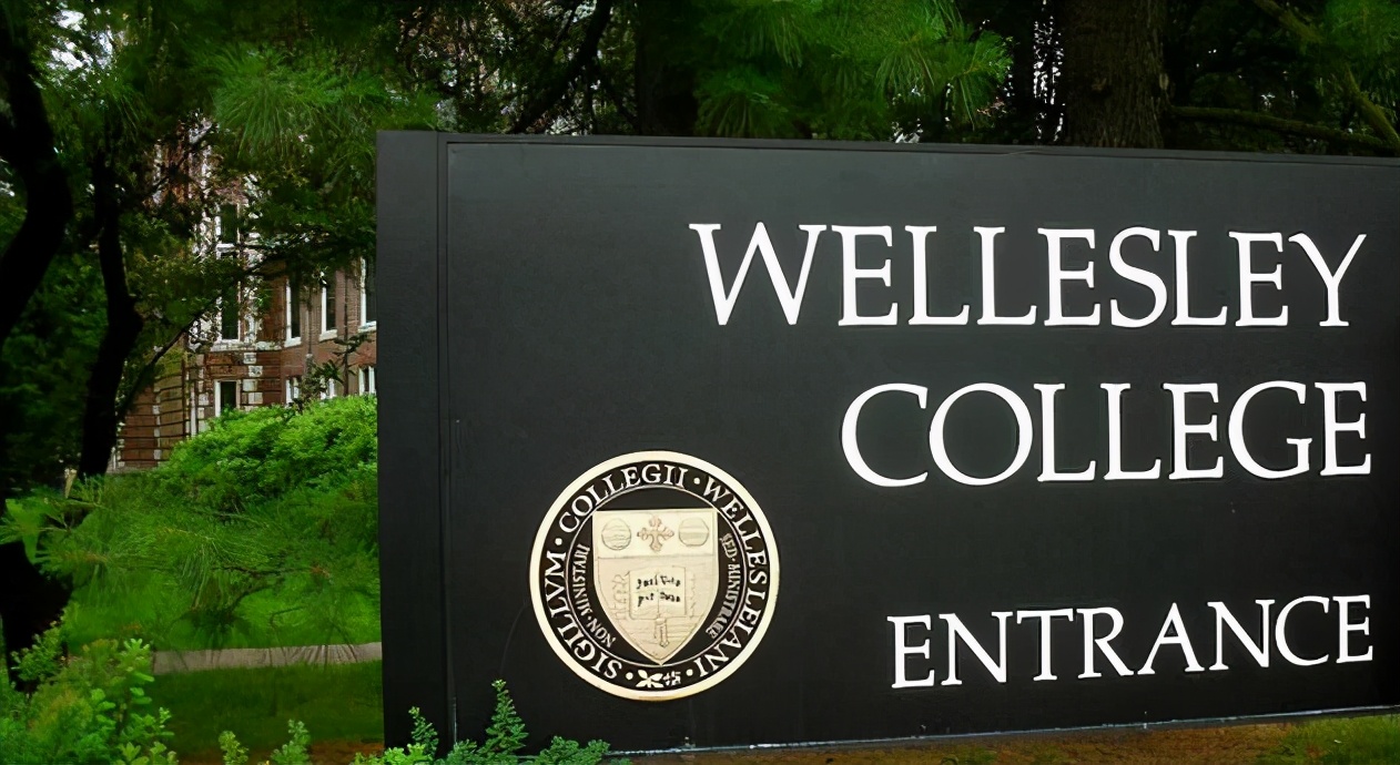 新常春藤大学,新常春藤