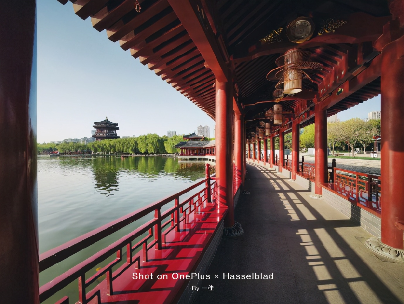 一加9pro拍照效果图,五月摄影比赛