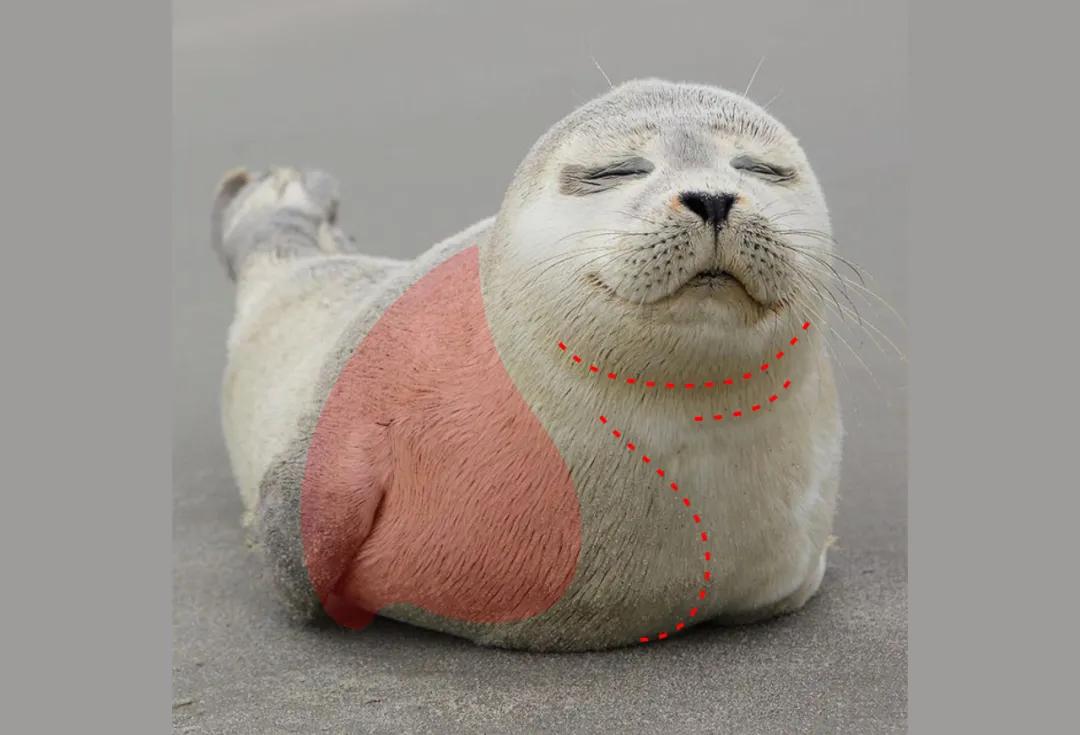 保姆式讲解一张图片做一个logo