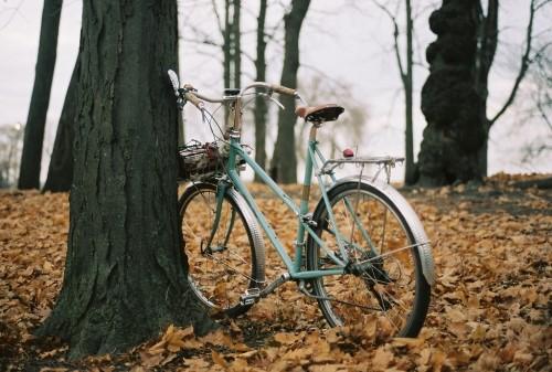 从不遗憾别人口中的自己,人总要学会接受自己