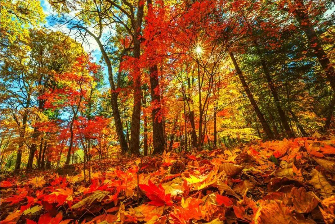 假期逛景区一大波优惠等着您,景点优惠活动视频