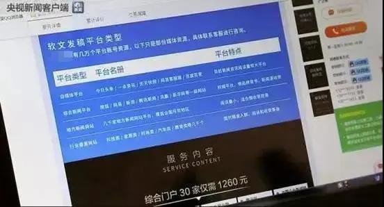 网络水军和网警,网警处罚案例