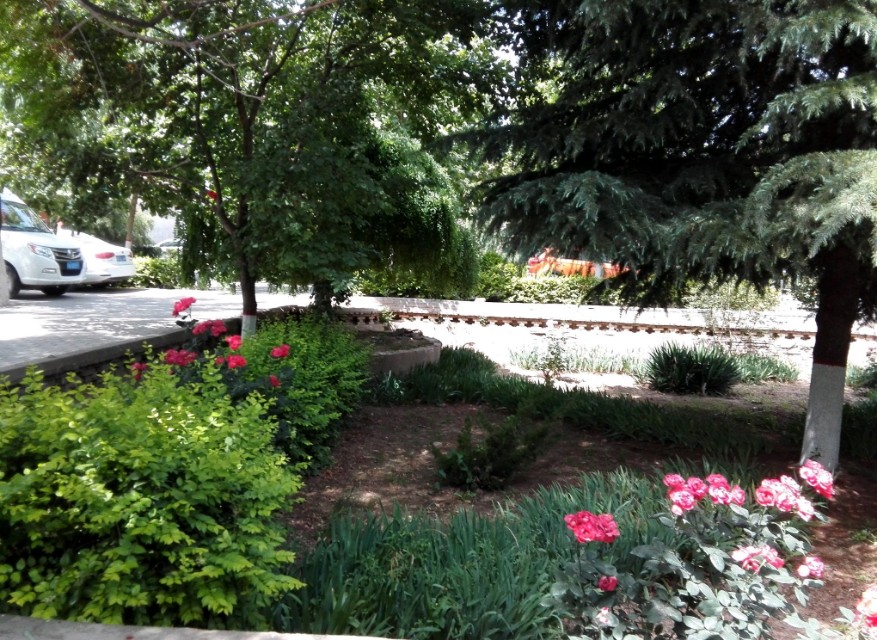 陕西十大避暑的地方,咸阳避暑旅游攻略